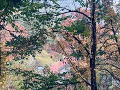 -潭柘寺景区