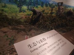 -烟台市博物馆
