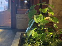 -浅深(北京北四环精品店)