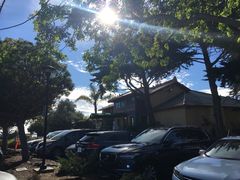 -香港东海海鲜酒家