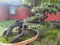 -成都武侯祠博物馆