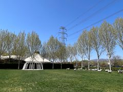 -九十九顶毡房(阜石路店)