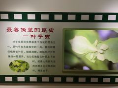 -上海昆虫博物馆