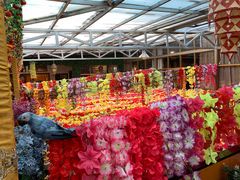 -吉祥圣雪藏餐