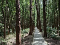 -同里国家湿地公园