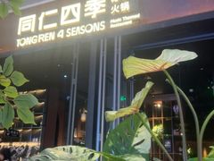 -同仁四季椰子鸡(宝安壹方城店)