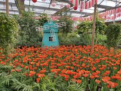 -南宫五洲植物乐园