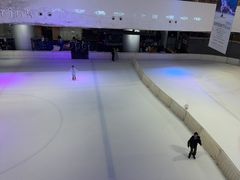 -TheRink大零溜冰场(IFS国金中心店)