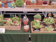 -上海鲜花港