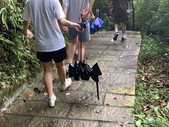 -火炉山森林公园