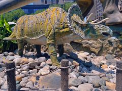 -陕西自然博物馆