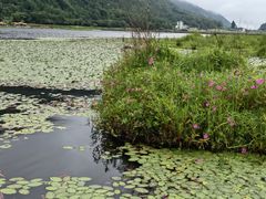 -腾冲北海湿地