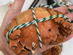 -新白鹿餐厅(百联中环店)