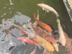 -广州花园酒店