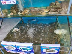 -Sasa的海(蜈支洲岛后海店)