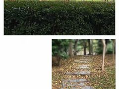 -天鹅湖体育公园