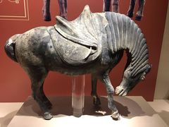 -宁夏博物馆