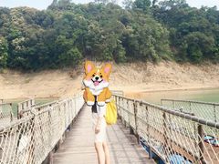 -广州市流溪河国家森林公园