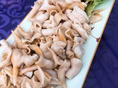 鸟贝-威海渔村(静安旗舰店)