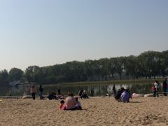 -大兴滨河森林公园