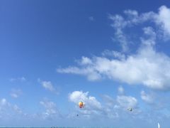 -塞尔夫岛