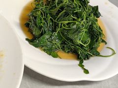 -协和菜馆(凤凰街店)