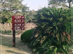 -乌石塘景区