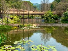 -云溪植物园