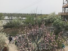 -白洋淀景区