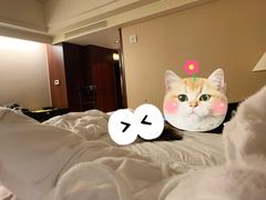 -上海波特曼丽思卡尔顿酒店