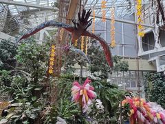 -正佳雨林生态植物园