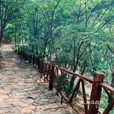 北京天津周边游～梨木台