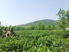 -湾里人家(旺山景区店)
