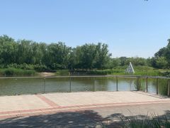 -永定河休闲森林公园