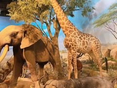 -陕西自然博物馆