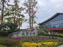 -恩阳古镇