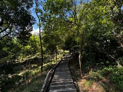 -火炉山森林公园