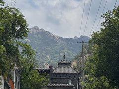 -老张烤羊(王哥庄店)