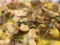 -食德喜·阳山鸡王食研基地