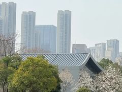 -月湖风景区