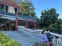 -大屏嶂森林公园