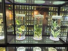 -广东中医药博物馆