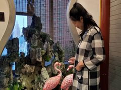 -北京全聚德(西客站店)