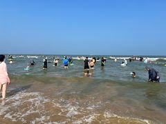 -日照海滨国家森林公园