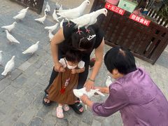 -茯茶镇