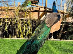 -金庭庄园酒店-停车场