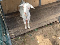 -潭柘厚院&山顶烤肉(潭柘寺店)