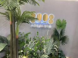 -八佰伴8008星级形象店