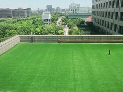 -菩提树·素食餐厅(汇智国际商业中心店)