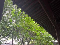 -天一阁博物院